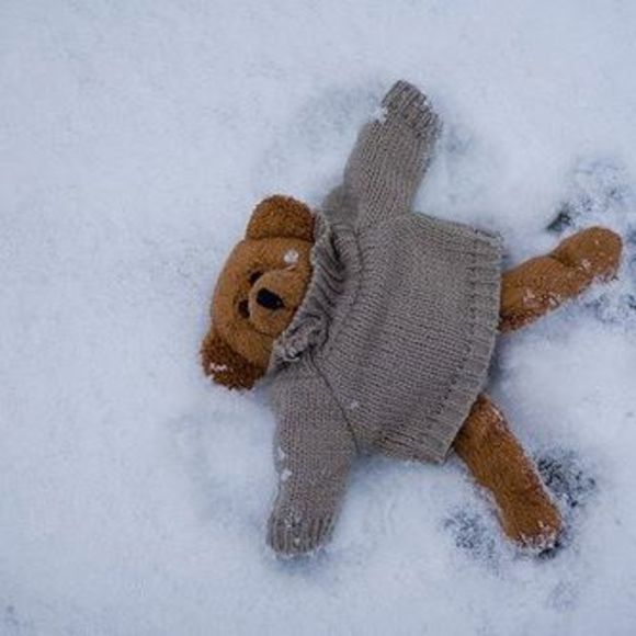 Meet your Posher, Ei - Picture 2 of 2